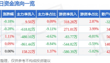 股票行情快报：三江购物（601116）8月13日主力资金净买入9.50万元