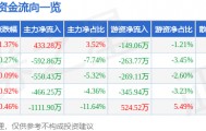 股票行情快报：三江购物（601116）8月25日主力资金净买入433.28万元