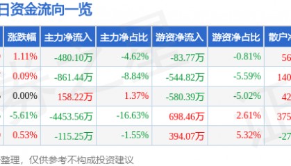 股票行情快报：三江购物（601116）8月11日主力资金净卖出480.10万元