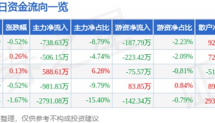 股票行情快报：金陵饭店（601007）7月14日主力资金净卖出738.63万元