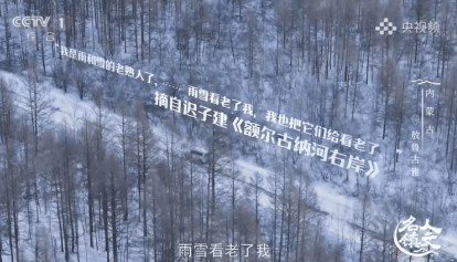 资讯 | 中国唯一的使鹿部落，现在怎么样了？央视揭秘→