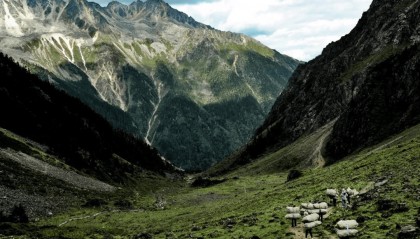 亚玛芬体育一季度狂揽14.7亿美元，高增长可持续吗？