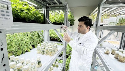 资讯有故事丨巴基斯坦农业学者讲述 中国“南繁硅谷”为啥这么有吸引力？