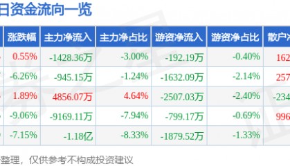 股票行情快报：三江购物（601116）9月22日主力资金净卖出1428.36万元