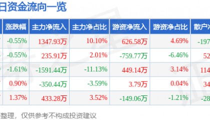 股票行情快报：三江购物（601116）8月29日主力资金净买入1347.93万元
