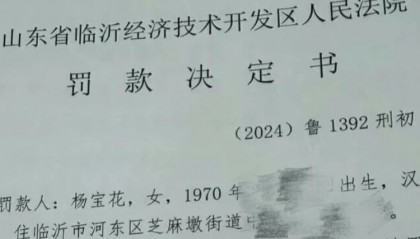 农妇辱骂法官被罚10万元，算不算“小过重罚”？