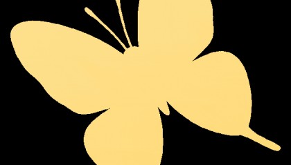 资讯丨广西3月招考月历，重要考试节点别错过