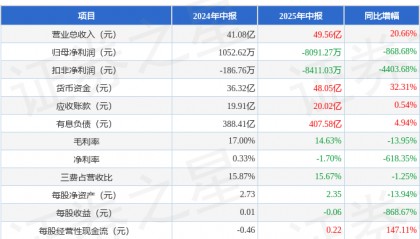 北新路桥（002307）2025年中报简析：增收不增利