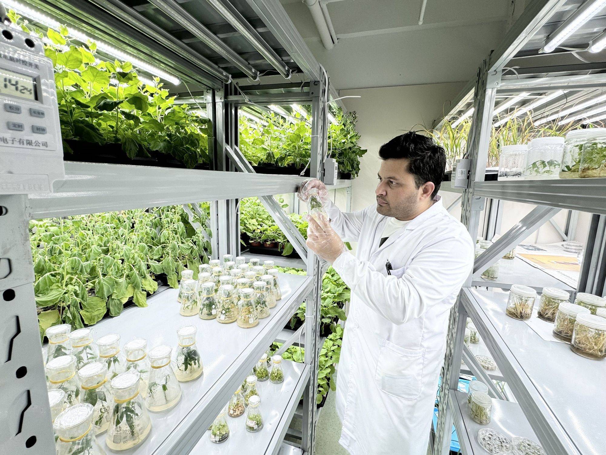 资讯有故事丨巴基斯坦农业学者讲述 中国“南繁硅谷”为啥这么有吸引力？