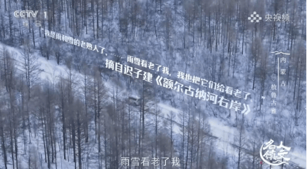 资讯 | 中国唯一的使鹿部落，现在怎么样了？央视揭秘→