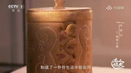 资讯 | 中国唯一的使鹿部落，现在怎么样了？央视揭秘→